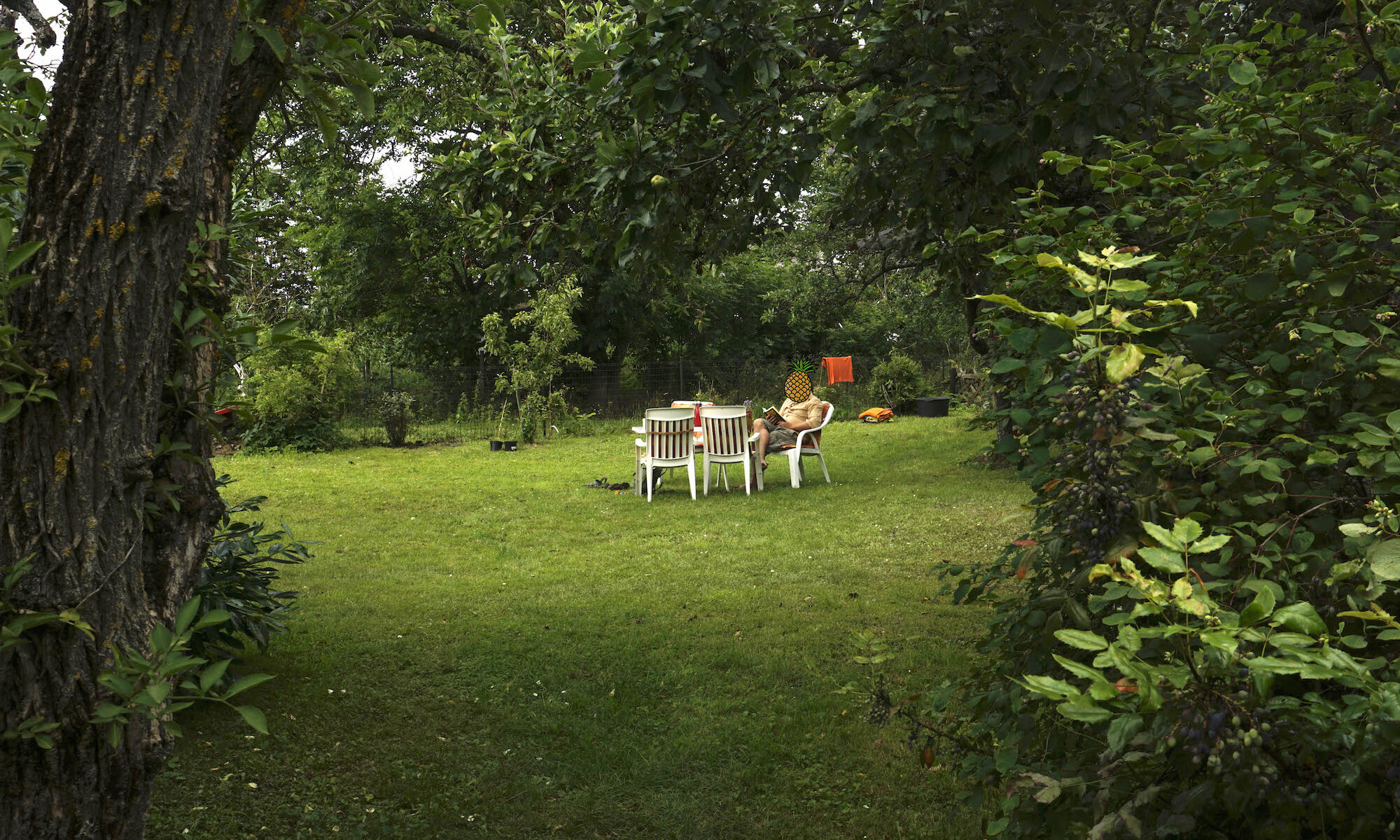 Garten Urlaub Ferien Bienenhaus Bienenhaeuschen Bienenhäuschen Mosel Cochem Zell Beilstein Hunsrück