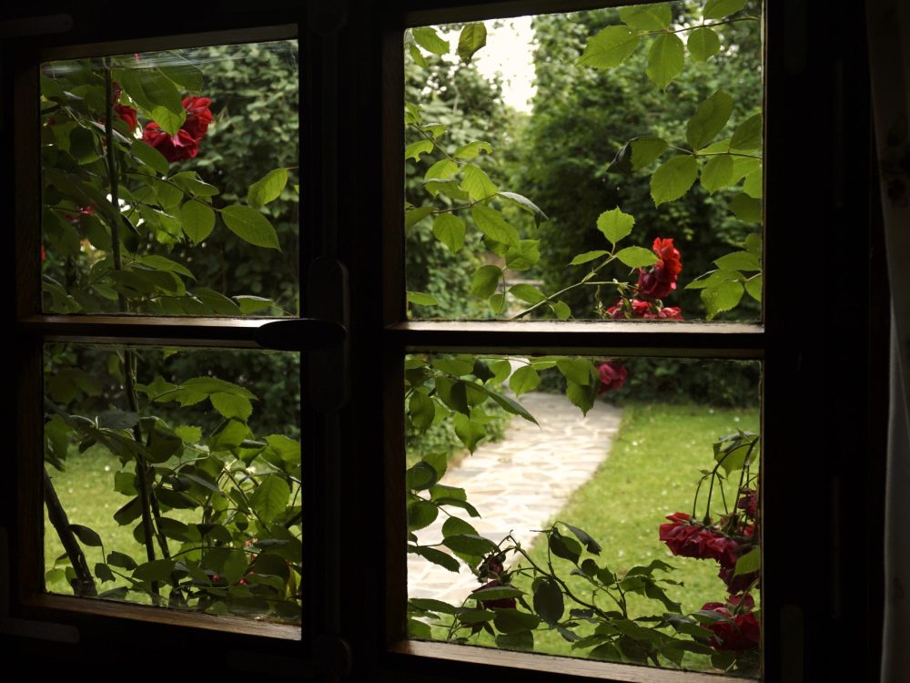 Küchenfenster Bienenhäuschen Urlaub