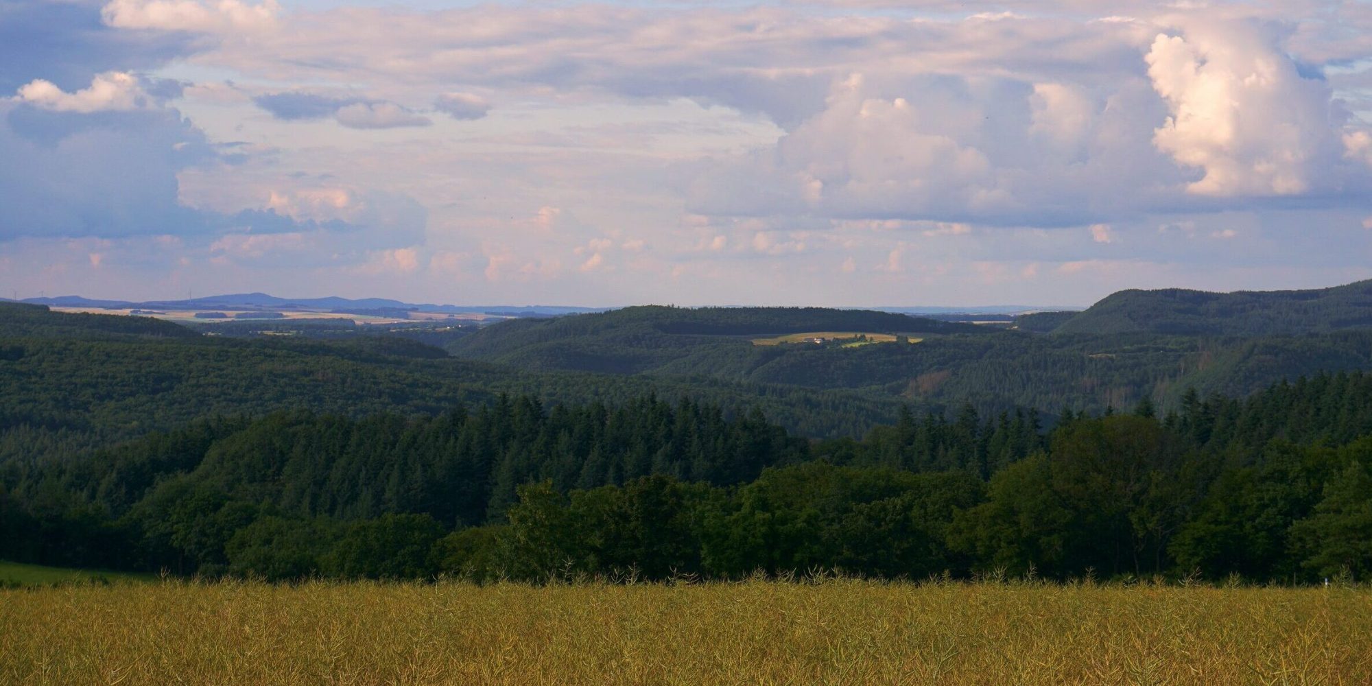 Bienenhäuschen Liesenich Natur Hunsrück Mosel